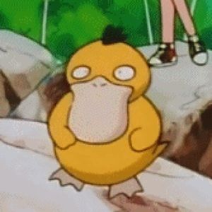 Meet your Posher, Angeline